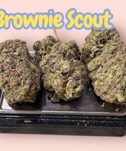 BROWNIE SCOUT 28grams OZ SALE 25%THC INDICA 🔥🔥