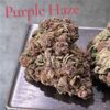 PURPLE HAZE 7grams QUARTER ON SATIVA  26%THC  BLACK FRIDAY SALE 🔥🔥