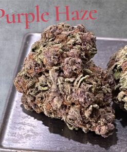 PURPLE HAZE 7grams QUARTER ON SATIVA  26%THC  BLACK FRIDAY SALE 🔥🔥