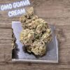 GMO GUAVA CREAM 28grams OZ SALE INDICA 🔥🔥