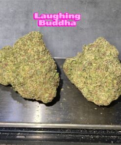 LAUGHING BUDHA 28GRAMS OZ 25%THC SATIVA 🔥🔥