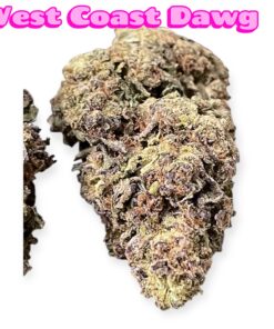 WEST COAST DAWG 7GRAMS QUARTER 25%THC INDICA 🔥🔥🎉DECEMBER PROMO🎉🎉