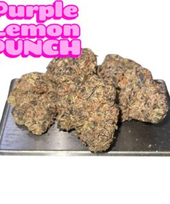 PURPLE LEMON PUNCH 🥊 3.5grams SATIVA 37%THC  🎉DECEMBER SALE🎉 EXOTICS