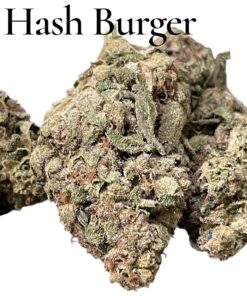 HASH BURGER 28grams HYBRiD 25%THC OZ ON SALE