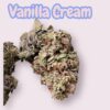 VANILLA CREAM 7GRAMS  QUARTER 25%THC INDICA