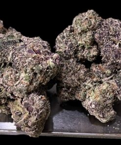 HOLLYWOOD RUNTZ 3.5grams HYBRiD 37%THC EXOTICS +++ LIMITED BATCH 🔥🔥