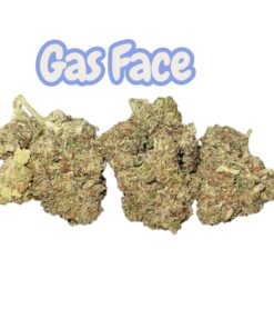 GAS FACE 7GRAMS QUARTER HYBRID 25%THC 🔥🔥