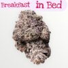 BREAKFAST IN BED 3.5grams SATIVA EXOTICS 37%THC 🔥🔥LIMITED BATCH 🔥