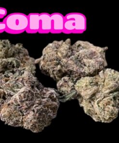 COMA 28grams OZ EXOTICS SALE (Jungle Boys Loose) INDICA 37%THC LIMITED BATCH 🔥🔥