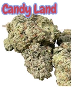 CANDY LAND 28g OZ ON SALE SATIVA 🔥🔥29%Tahac