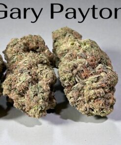 GARY PAYTON 28g OZ ON  HYBRiD 🔥🔥28THC