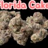 FLORIDA CAKE 3.5G 🥶WINTER SALE🥶37%THC INDICA EXOTICS