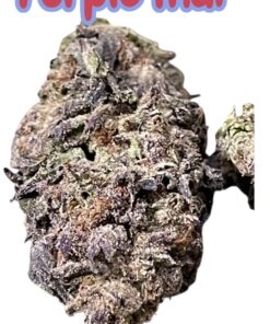 PURPLE THAI 28grams OZ SALE 29%THC RARE 🔥🔥
