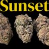 SUNSET 28grams OZ  SALE INDICA 25%THC