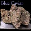 BLUE CAVIAR 4GRAMS HYBRID 28%THC 🥶WINTER SALae🥶