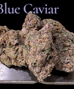 BLUE CAVIAR 4GRAMS HYBRID 28%THC 🥶WINTER SALae🥶