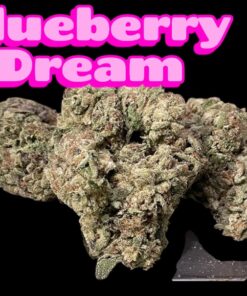 BLUEBERRY DREAM 28grams Oz SALE 25%THC SATIVA