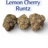 LEMON CHERRY RUNTZ 7GRAMS  HYBRID🎉MARCH MADNESS🎉25%THC