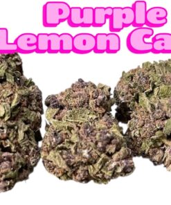 PURPLE LEMON CAKE 28grams OZ 25%THC SATIVA