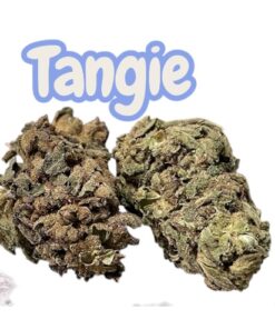 TANGIE 28g OZ SATIVA on SALE 🔥🔥24%THC