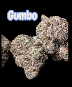 GUMBO 28grams OZ ON SALE EXOTICS    🏆🏆 INDICA 36%THC