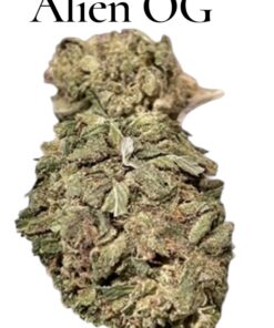 ALIEN OG 7GRAMS QUARTER 🎉MOTHERS DAY SALE🎉 26%THC 🔥🔥🔥HYBRID