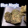 BLUE MAGIC 28grams OZ SATIVA 25%THC