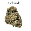 GELONADE28g HYBRID ON SALE 🔥🔥25%THC