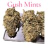 GUSH MINTS28g OZ ON SALE $100 25% THC INDICA 🔥🔥