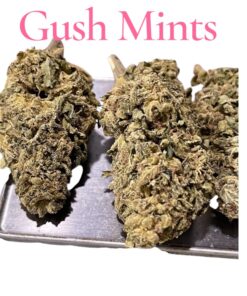 GUSH MINTS28g OZ ON SALE $100 25% THC INDICA 🔥🔥