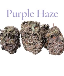 PURPLE HAZE 3.5g SATIVA SMALL BATCH 🔥🔥 33%THC CRAFT CANNABIS SUMMER SALE 🔥