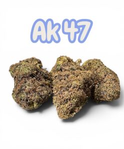 AK47 QUARTER 7GRAMS SUMMER SALE 25%THC SATIVA DOM