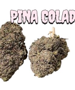 PINA COLADA  7GRAMS HYBRID 25%THC SUMMER SALE🔥