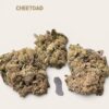 CHEETOAD 🐸🐸 3.5grams 36%THC (cheetah breath x Todd Venon)🏆LIMITED BATCH )🔥SUMMER SALE🔥