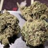 BUBBLE GUM 7GRAMS ⛱️SUMMER SALE INDICA 25%THC FRESH  BATCH