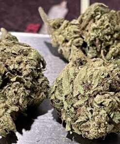 BUBBLE GUM 7GRAMS ⛱️SUMMER SALE INDICA 25%THC FRESH  BATCH