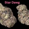 STARDAWG 91  🏆🏆28grams  EXOTICS INDICA  🔥🔥35%THC