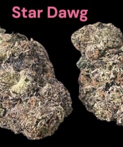 STARDAWG 91  🏆🏆28grams  EXOTICS INDICA  🔥🔥35%THC