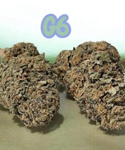 G6 SATIVA 7GRAMS QUARTER 25%THC SALE🔥