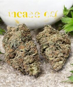 PINNEAPPLE KUSH ππ7 GRAMS QUARTER SALE HYBRID