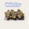 WEBSTER 28grams Oz SATIVA 25%THC SALE
