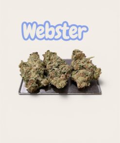 WEBSTER 28grams Oz SATIVA 25%THC SALE