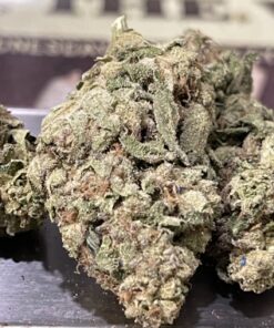 HASH PLANT  7GRAMS  INDICA  25%THC ⛱️SUMMER SALE⛱️