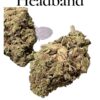HEADBAND 7 grams QuARTER 25%THC HYBRID
