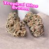 TROPICAL BLUE DREAM 🌴🌴 3.5G SATIVA 38%THC 🎉LIMITED EXCLUSIVE BATCH  420SALE 🎉