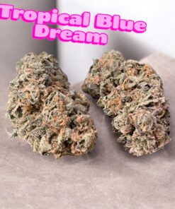 TROPICAL BLUE DREAM 🌴🌴 3.5G SATIVA 38%THC 🎉LIMITED EXCLUSIVE BATCH  420SALE 🎉