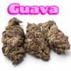GUAVA 28GRAMS SATIVA 🎉 SALE  25%THC 🔥🔥