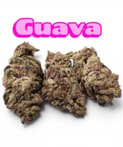 GUAVA 28GRAMS SATIVA 🎉 SALE  25%THC 🔥🔥