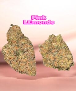 PINK LEMONADE 4GRAMS SATIVA DOM 30%THC ⛱️SUMMER SALE⛱️