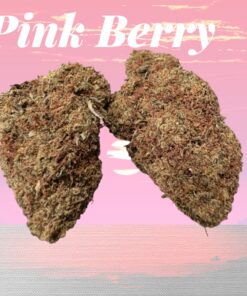PINK BERRY 28grams Oz ON SALE 25%THC INDICA